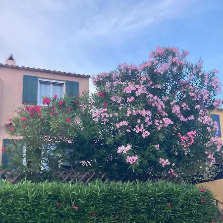 Mas Provencal Proche St Tropez Holiday home
