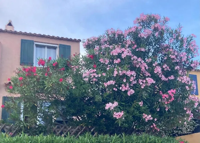Maison Provencale Proche St Tropez بيت للعطل
